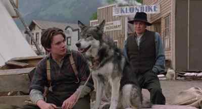 If we are going to catch
that boat in Skagway... - White Fang