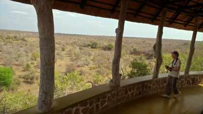 If we are not going
to save giraffe, - The Woman Who Loves Giraffes