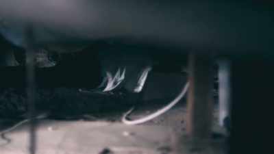  "if you are under here, - Phrogging: Hider in My House