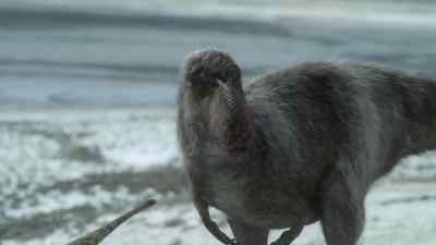 If her babies are to thrive, - Prehistoric Planet
