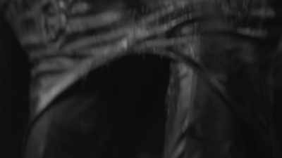 If you bothered to transform
every inch of you to look like - The Boulet Brothers' Dragula: Titans