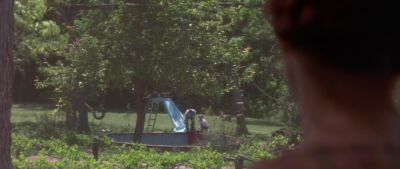 If you boys have been throwing firecrackers in that pool again - Wild America