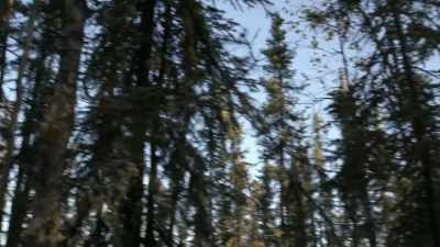 If we can eat
one grouse a day, - Life Below Zero: Next Generation