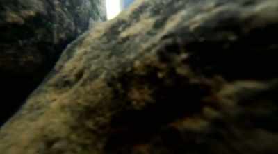 If we can move
these boulders here, - Lost Gold of World War II