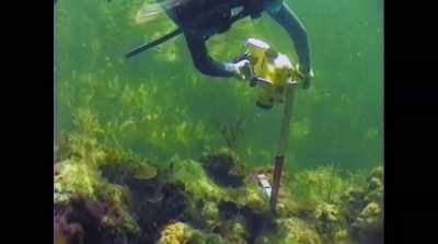 If we can transplant
a coral reef - Spaceship Earth