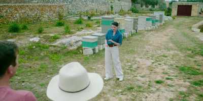 If they cared for the bees
of Melita, - For Love & Honey