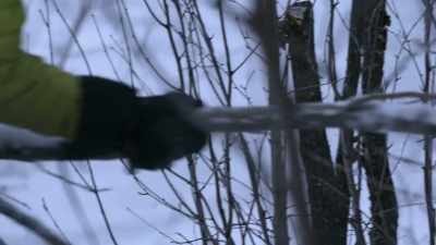 If it catches these on fire,
it's just gonna be a huge, - Life Below Zero: Next Generation