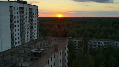 If we choose to give forests time and space, - Our Planet
