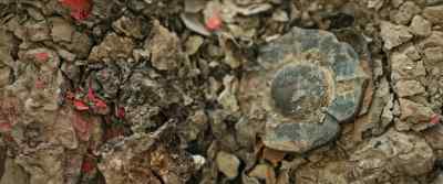 If we clean it on site, - Mysteries of the Terracotta Warriors