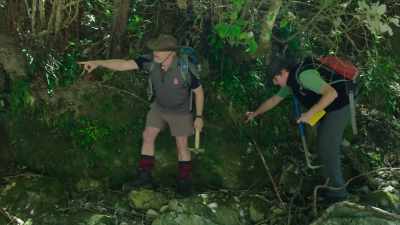If you could have a look that way, - Modern Dinosaurs