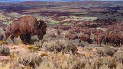 "If you could kill them,
what they brought was yours. - The American Buffalo