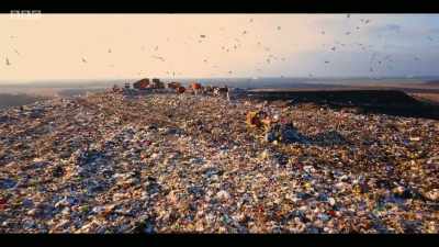 If we could reduce
that food waste, - Extinction: The Facts