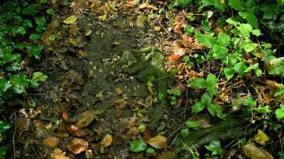 If we count the slopes
here and the debris and - Lost Treasures of Rome