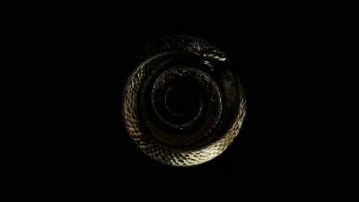 If you do really want
to be alone - The Wheel of Time