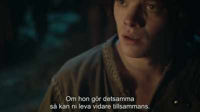If she does the same,
then together you may live on. - Dragonheart: Battle for the Heartfire