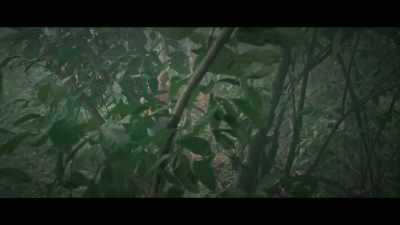If you don’t know, just tell me. - Virgin Forest