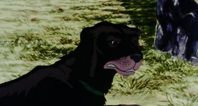 If we don't find food soon we'll die - The Plague Dogs