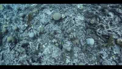 If we don't keep the oceans healthy, - Our Oceans