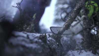 If you don't limb it up,
you're going to end up with - Life Below Zero: Next Generation
