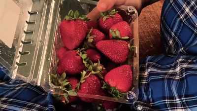 - If you don't share
those strawberries, - He's Watching