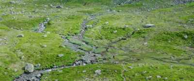 If you don't walk to fast and look around, - Songs of Earth