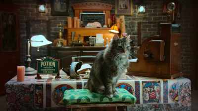 If he drank too much potion, - Scaredy Cats