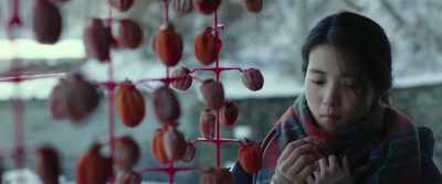 If dried persimmons taste this good, - Little Forest