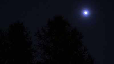 If Earth was being visited, - The Alaska Triangle