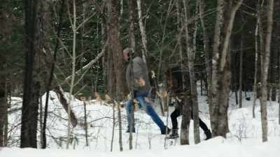 If Eisen can find it, it'll
demonstrate how a cadaver dog - The Disappearance of Maura Murray