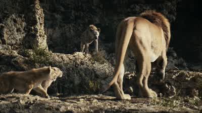 If you ever come near my son again... - The Lion King