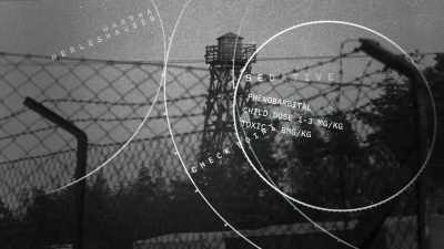 If Gerda had been caught
trying to defect - Missile from the East
