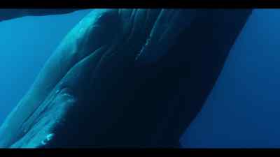 If they get hit by a storm
in the open ocean, - Our Oceans