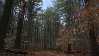 If you go behind my house, - Beyond Skinwalker Ranch