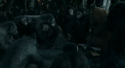 If we go to war... - Dawn of the Planet of the Apes