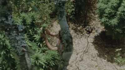 If you got caught, - Sasquatch