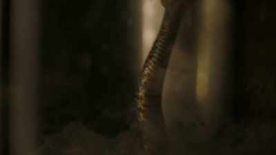 If she handled the serpents
and wasn't bitten, - Alabama Snake