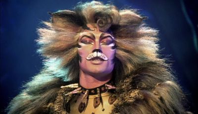 If it happens the sun Is shining bright - Cats