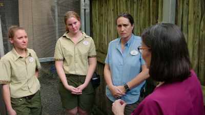 If we have an animal in active labor, - Magic of Disney's Animal Kingdom