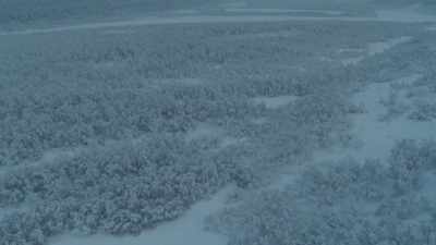 If you haven't done enough yet
to prepare for this, it's too late. - Wild Nordic