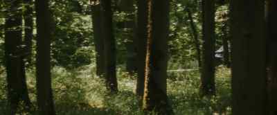 If he has got
himself in trouble, - Once Upon a Time in Hollyweird