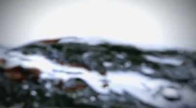 If he's going to survive, he
has just seconds to respond. - Shark Attack Files