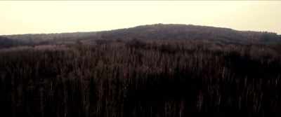 If you hike deep into the Rohrwald forest, - Razzennest