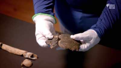 If you hold the pieces together, - Curse of the Ancients with Alice Roberts