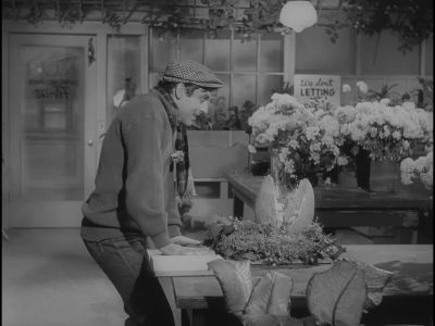Oh boy - The Little Shop of Horrors