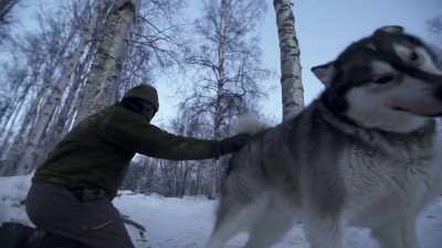 If I can just get these
dogs ran three or four miles, - Life Below Zero: Next Generation