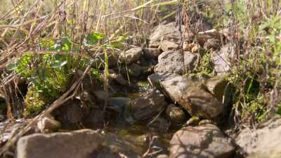 If I can trace this water
back to the lake, - Secrets of the Underground