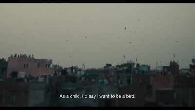 If I die and look back on my past life, - All That Breathes