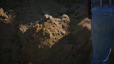 IF I FIND ANYTHING TODAY, - Dino Hunters