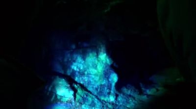 If I were hunting rats, - The Strain