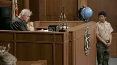If I know anything about dogs, - Gary Busey: Pet Judge